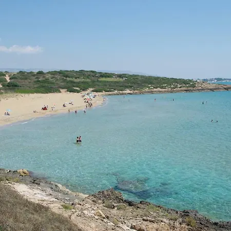 D' Amare